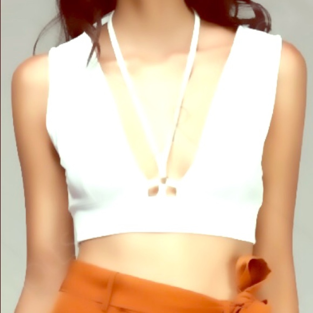Plunging Neck White Crop Top for Women